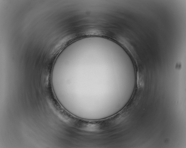 X0000111650157200907311325