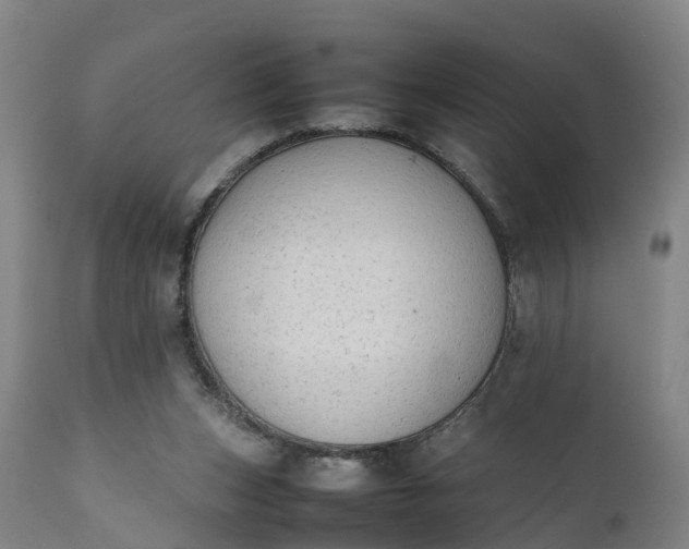 X0000111650159200907311325