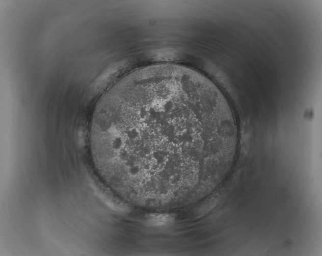 X0000111650161200907311325
