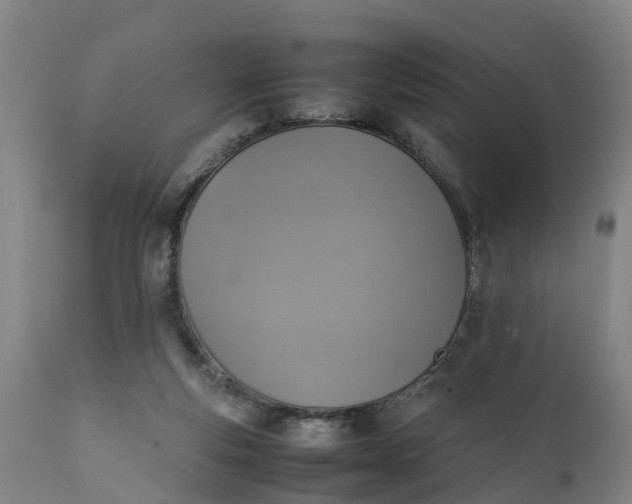 X0000111650163200907311325