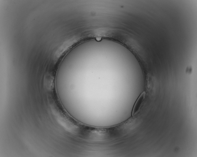 X0000111650164200907311325