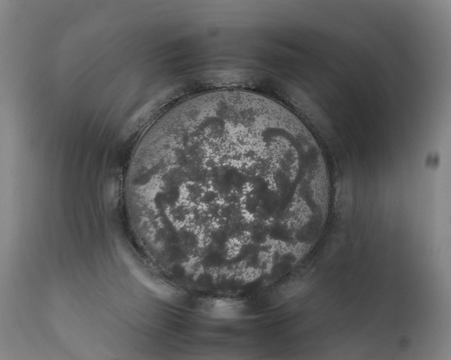 X0000111650165200907311325