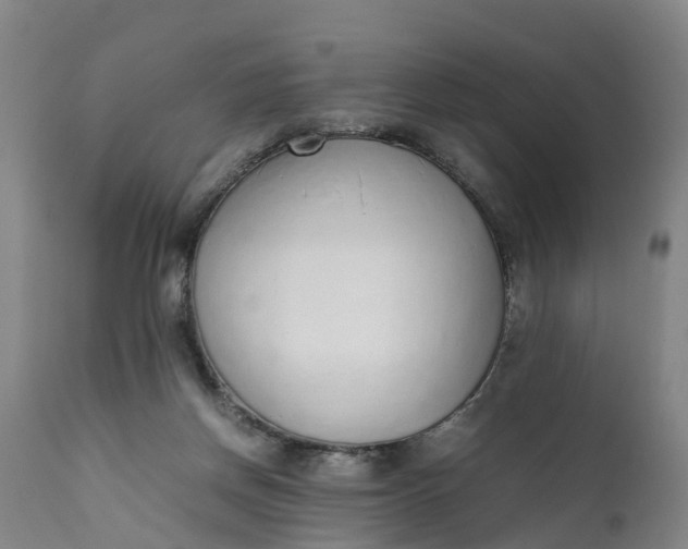 X0000111650166200907311325
