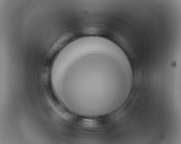 X0000111650167200907311325