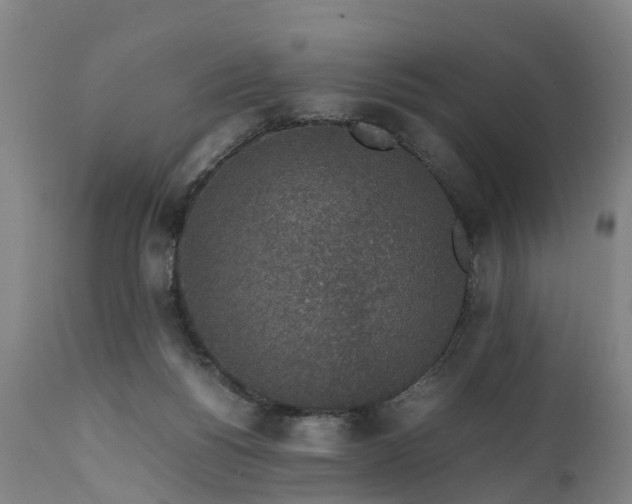 X0000111650168200907311325