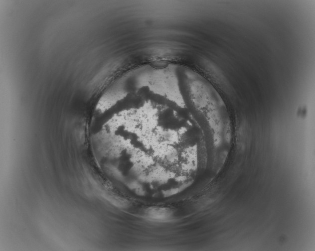 X0000111650169200907311325