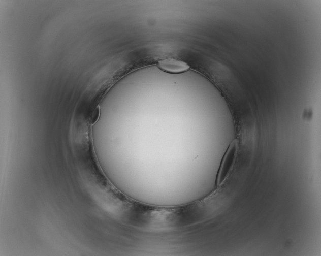 X0000111650172200907311325