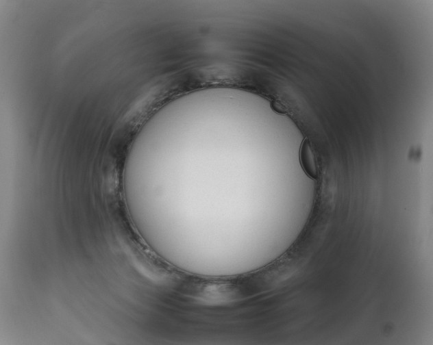 X0000111650173200907311325