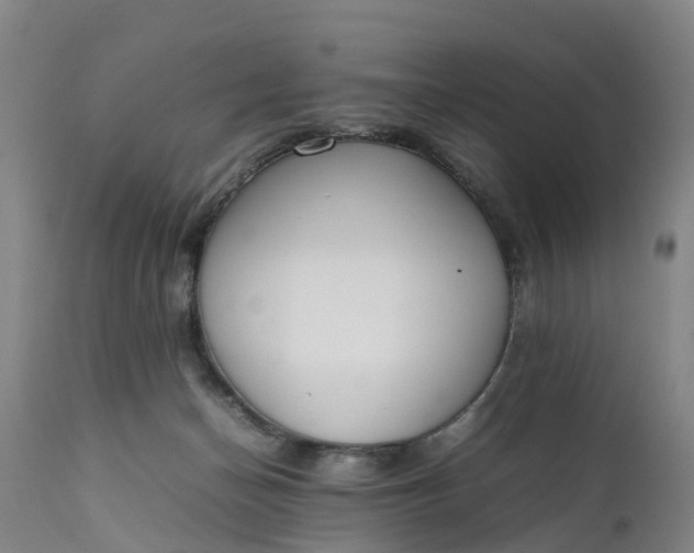 X0000111650174200907311325