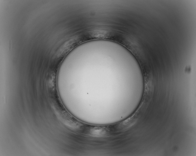 X0000111650175200907311325