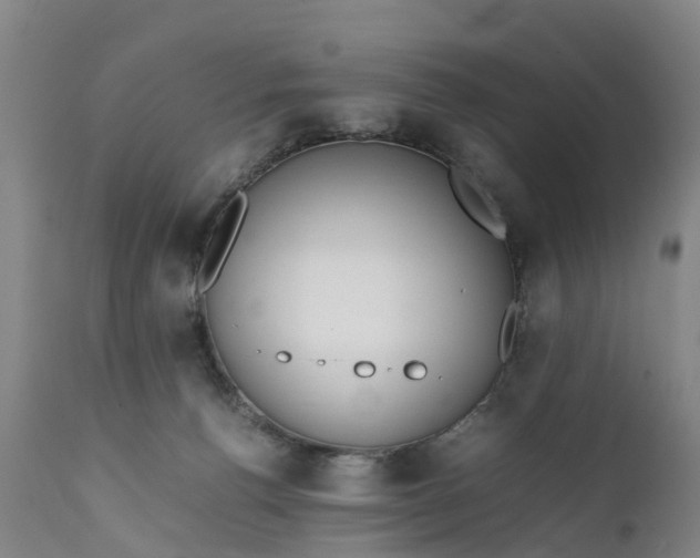 X0000111650176200907311325