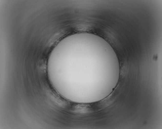 X0000111650179200907311325