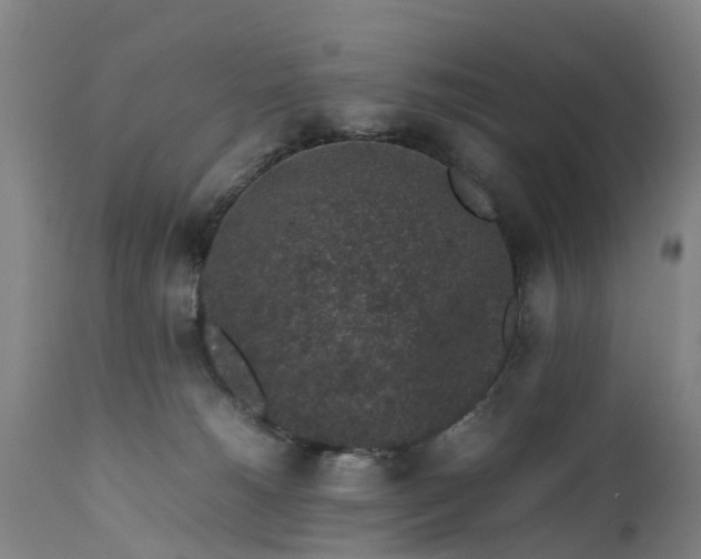 X0000111650180200907311325