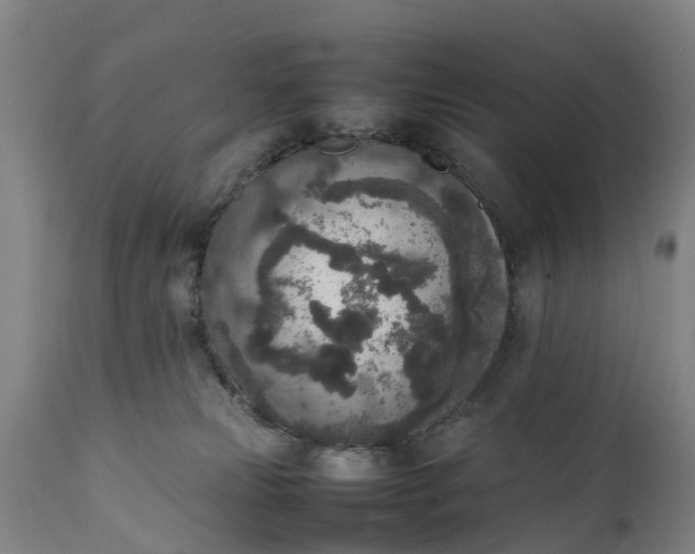 X0000111650181200907311325