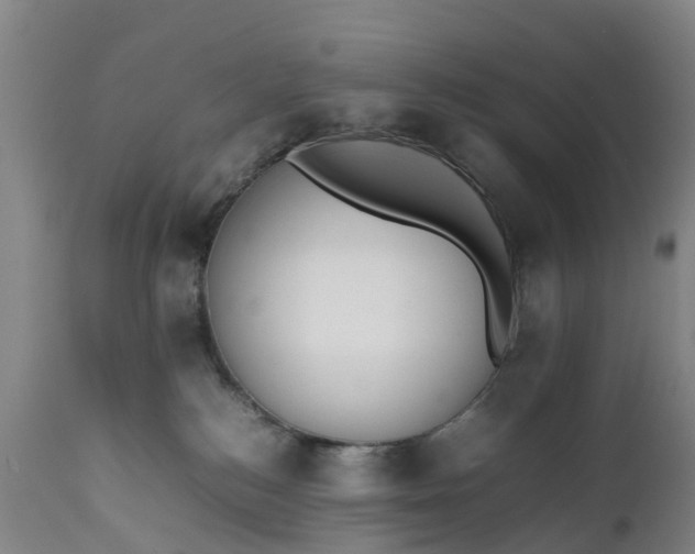 X0000111650184200907311325