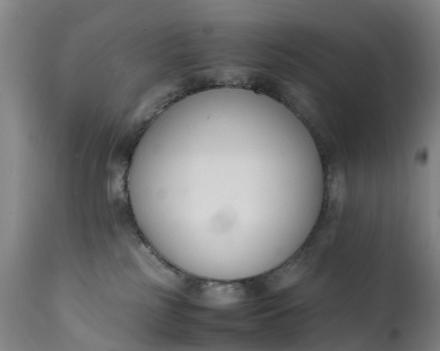 X0000111650185200907311325