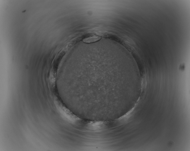 X0000111650186200907311325