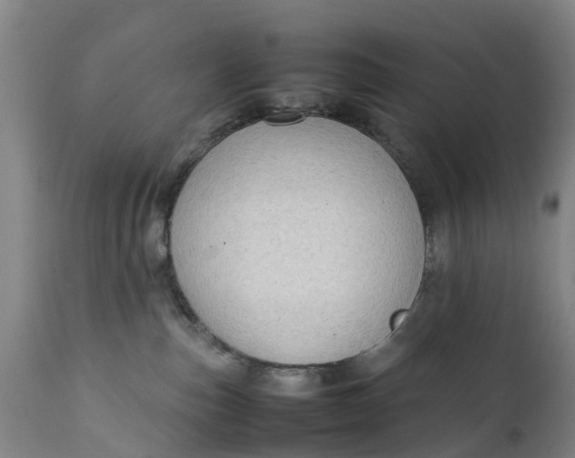 X0000111650187200907311325