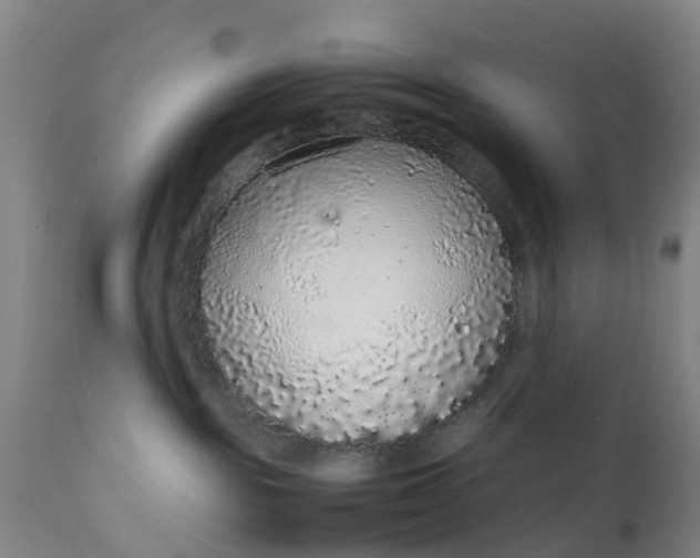 X0000111650189200907311325