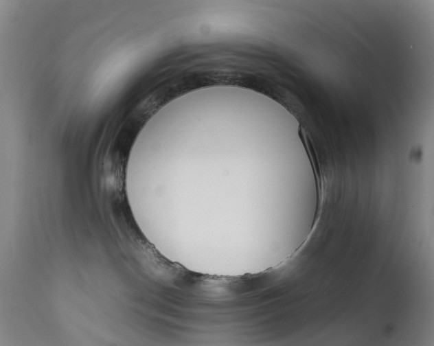 X0000111650190200907311326