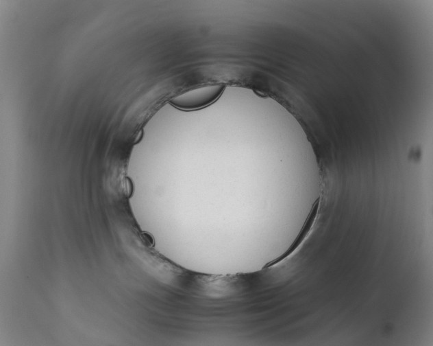 X0000111650191200907311326