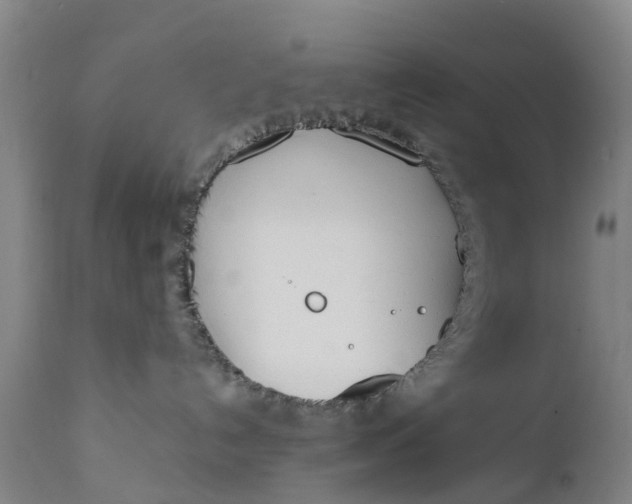 X0000111650192200907311326