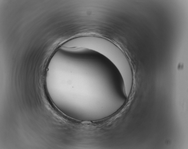 X0000111650193200907311325