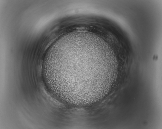 X0000111650194200907311325