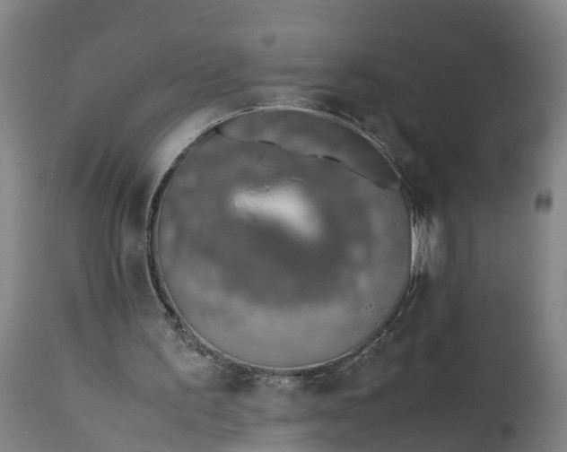 X0000111650195200907311325