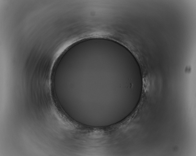 X0000111650196200907311325