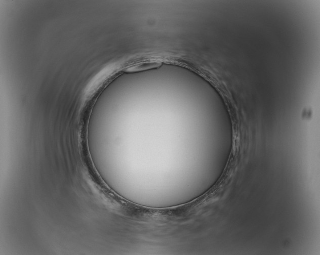 X0000111650197200907311325