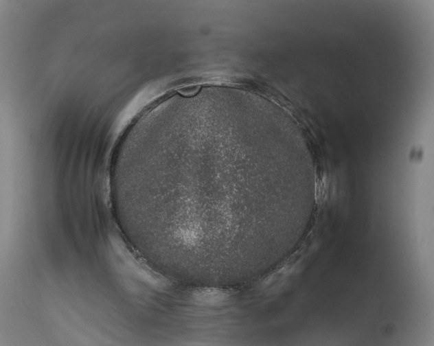X0000111650198200907311325