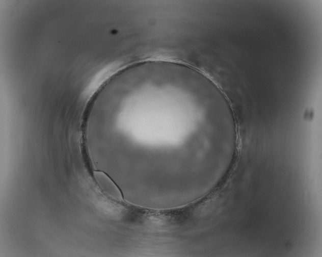 X0000111650199200907311324