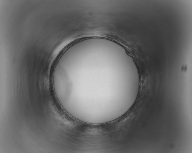 X0000111650200200907311324