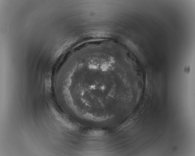 X0000111650202200907311324