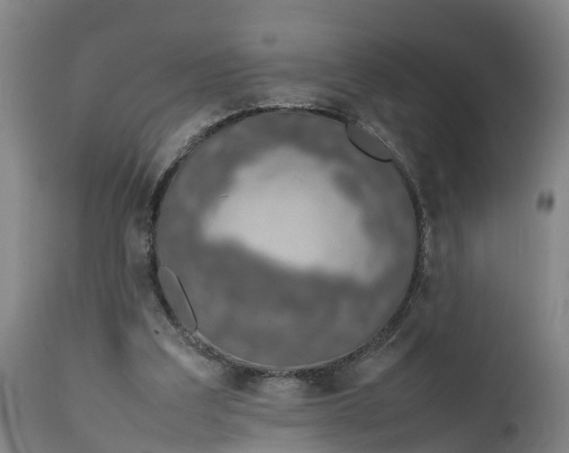 X0000111650203200907311324