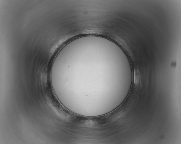 X0000111650204200907311324
