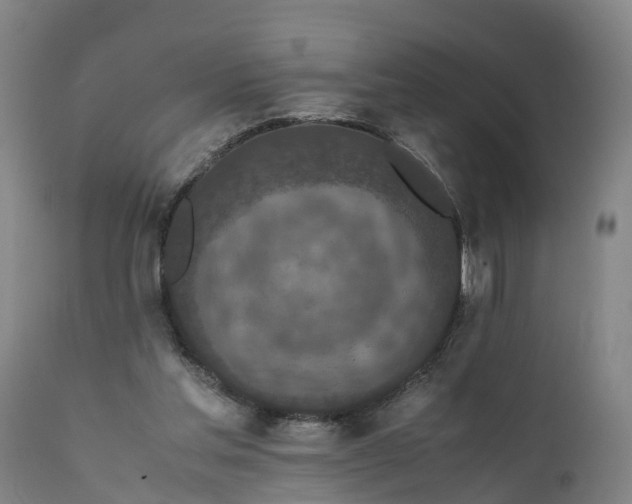 X0000111650205200907311324