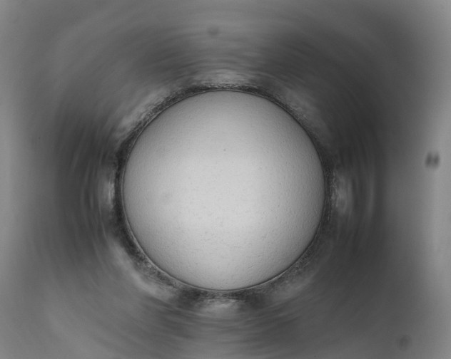 X0000111650206200907311324