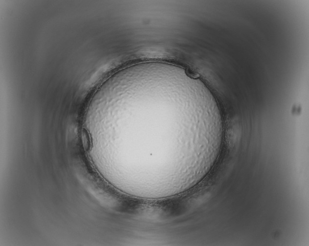 X0000111650207200907311324