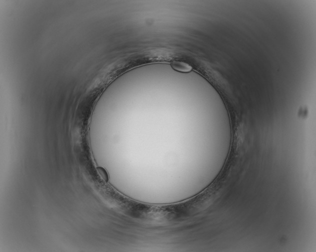 X0000111650209200907311324