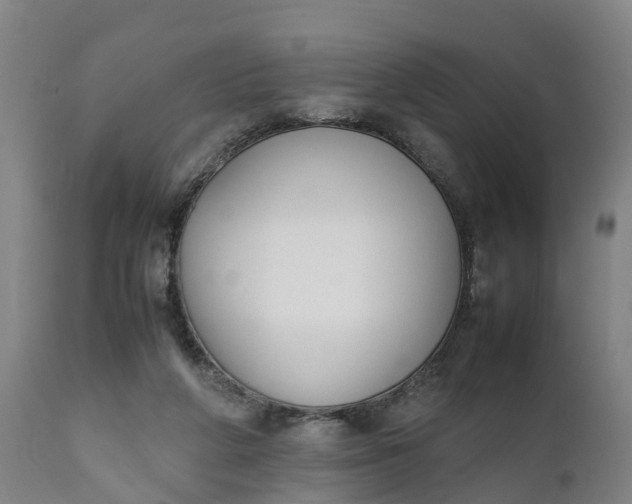 X0000111650210200907311324
