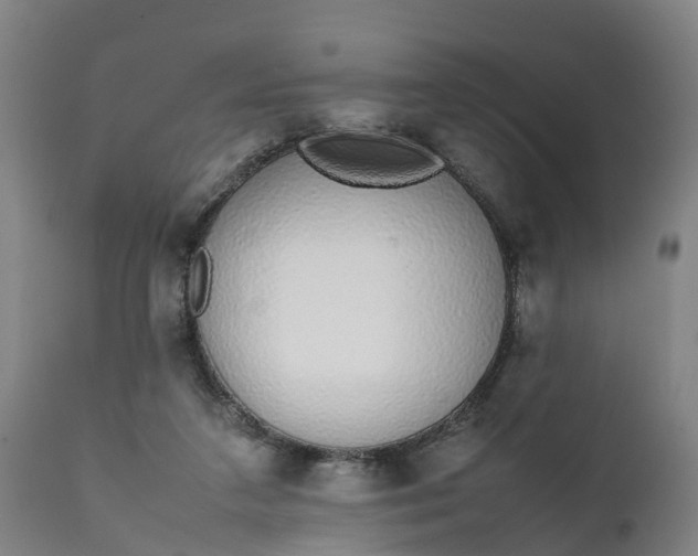 X0000111650211200907311324