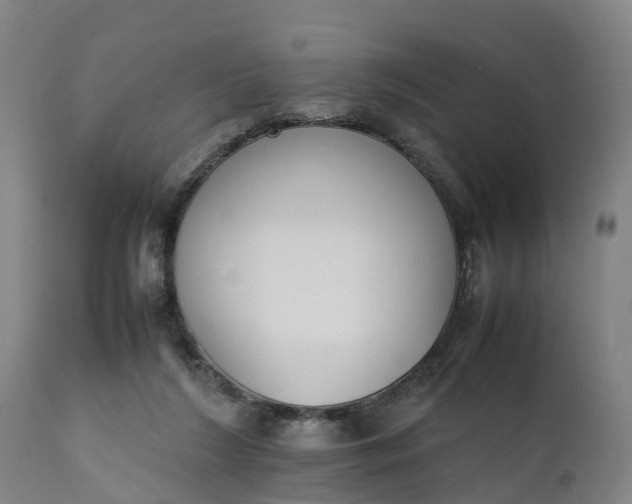X0000111650212200907311324
