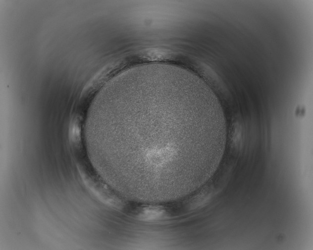 X0000111650214200907311324