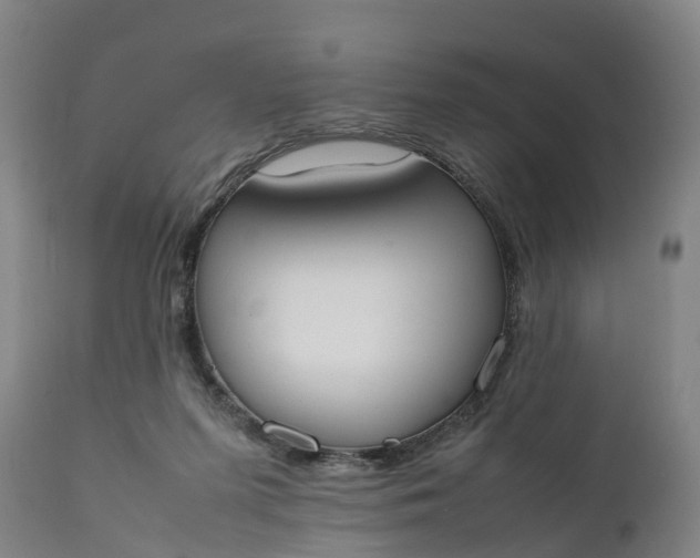 X0000111650215200907311324