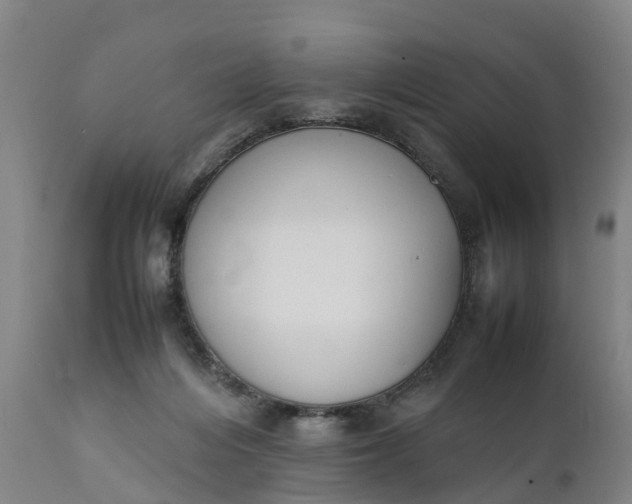 X0000111650216200907311324