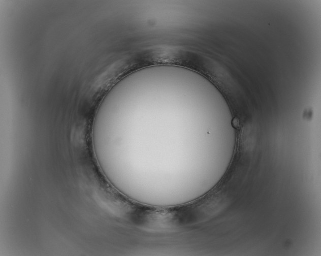 X0000111650217200907311324