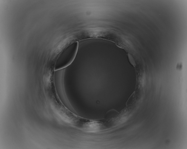 X0000111650219200907311324
