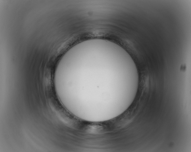 X0000111650220200907311324